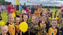 Success at Community Games, Sevens Tournament and Tinryland news