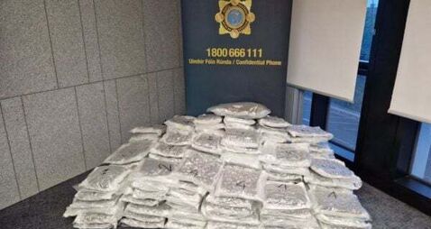 Man arrested as gardaí seize cannabis worth €1.6 million