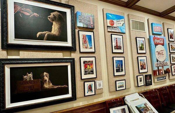 The pop-up art exhibiton is full of work by Carlow artists 