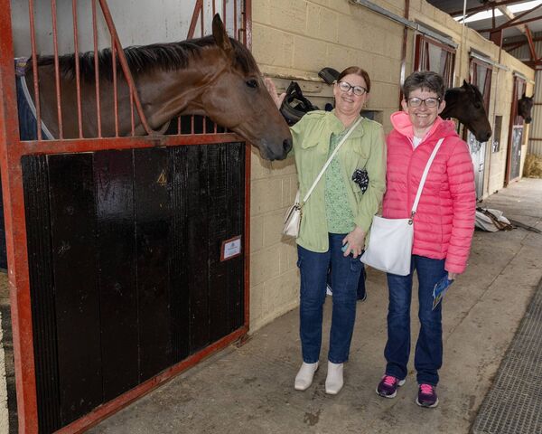 Marie Lawless and Teresa Canavan enjoying their visit to John 'Shark' Hanlon's stables. Photo: Thomas Nolan Photography. 