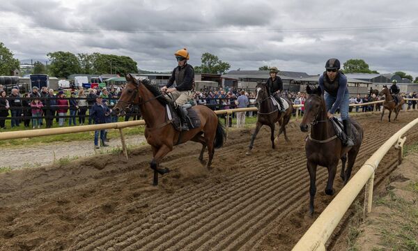 A large crowd turned out for the open day at John 'Shark' Hanlon stables. Photo: Thomas Nolan Photography. 