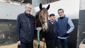 Open day at John 'Shark' Hanlon's yard