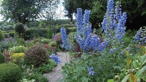 Lalor clan rally, open day at Clonohill Gardens and sports results