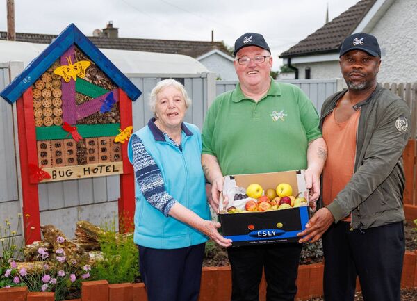 Mary Walsh (Tullow Tidy Town) presents a box of fruit to Frank Morris and Wisdom Akabueze (Tullow Men’s Shed)
