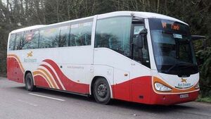 Bus Éireann driver shot in face with airgun in Limerick Bus Éireann driver shot in face with airgun in Limerick