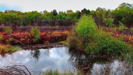 Eight projects across Co Carlow to benefit from climate action fund