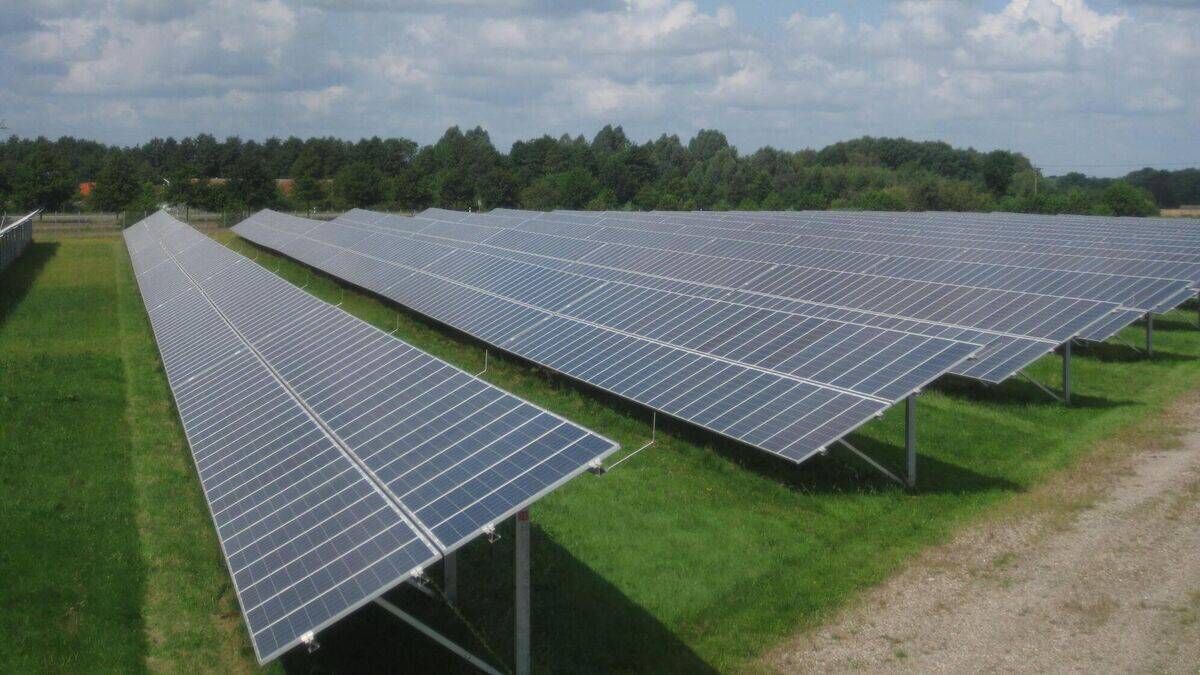 Giant solar farm begins construction