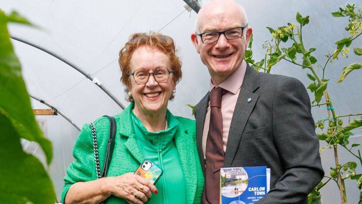 Carlow was looking blooming marvellous for Entente Florale