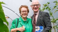 Carlow was looking blooming marvellous for Entente Florale