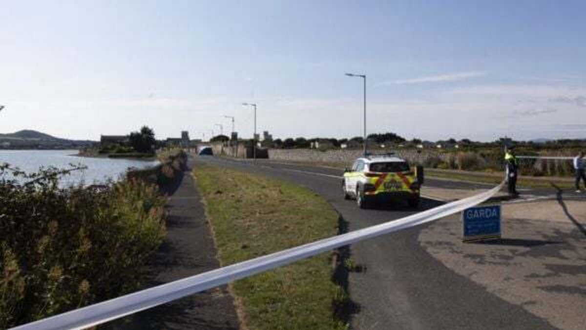 Man (40s) killed after hit-and-run incident in Dublin