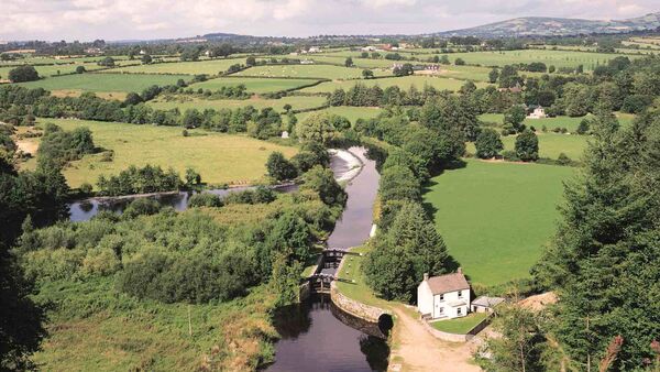 Immediate action is needed at popular Carlow scenic spot