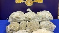 Man arrested as gardaí seize cannabis and cocaine worth €97,000