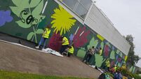 Carlow community willing to tackle graffitti in their town