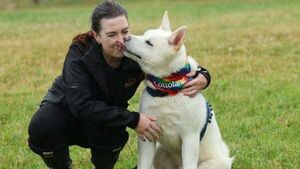 DSPCA reports surge in multiple breeds of teenage dogs being surrendered DSPCA reports surge in multiple breeds of teenage dogs being surrendered