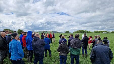 Quinns of Baltinglass to host grassland day