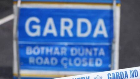 Top garda says people blame the N80 but it’s not always the road