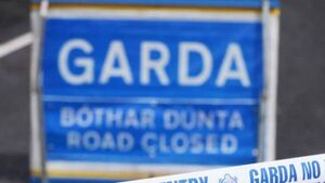 Top garda says people blame the N80 but it’s not always the road