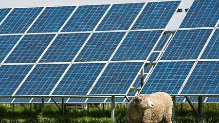 Plans lodged for large solar farm near Duckett’s