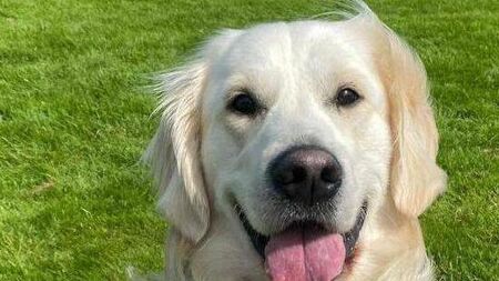 Murph to represent Carlow in national pet competition