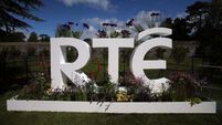 RTÉ's €725 million funding 'a sticking plaster' without a long-term vision — Labour Senator