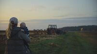 Average family farm income dropped by 57% in 2023 to just under €20,000