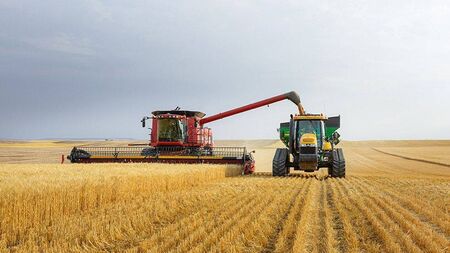 Time to Think: May the month of August bring a bountiful harvest