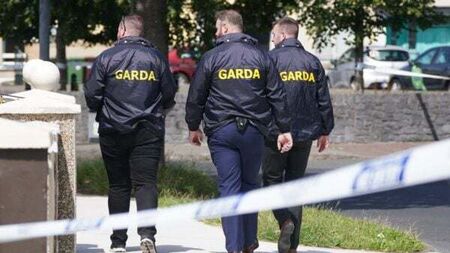 Woman (30s) arrested in relation to fatal Tallaght stabbing