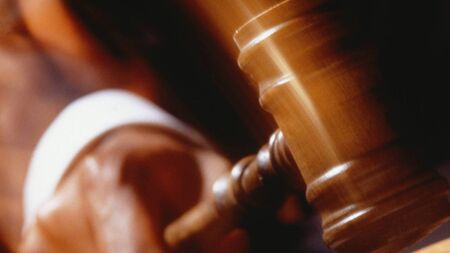 Man pleads guilty to seven counts of criminal damage