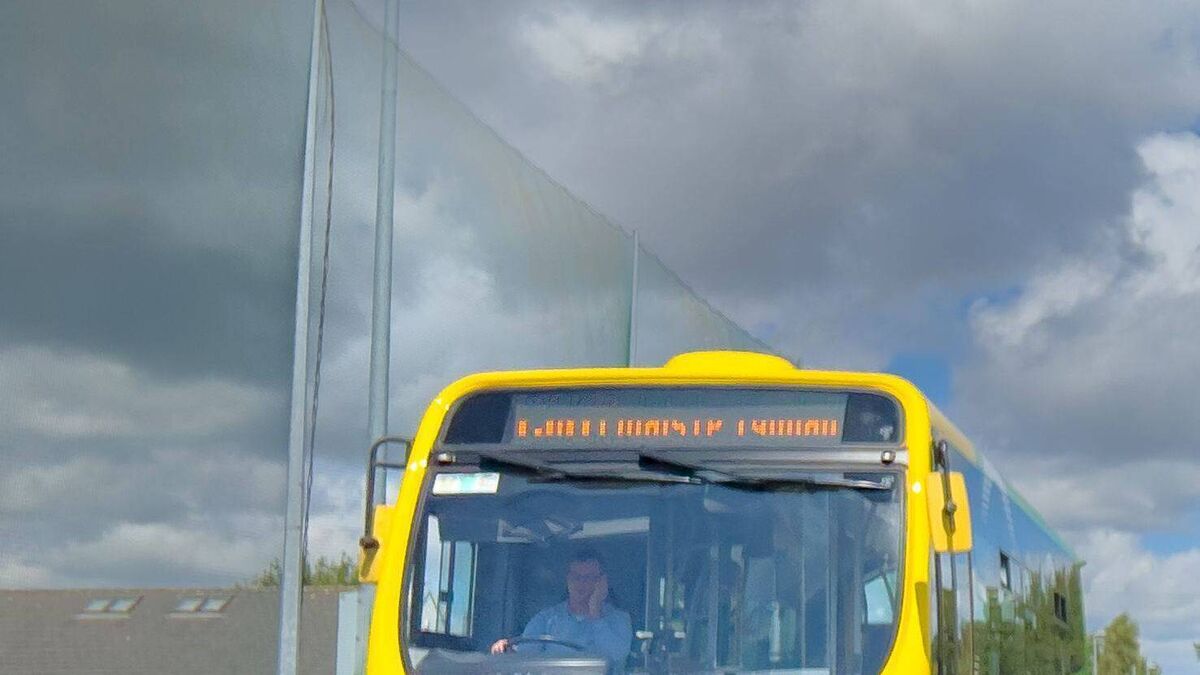 Town Bus celebrates its first birthday