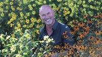 Kiltegan garden in full bloom for the summer season