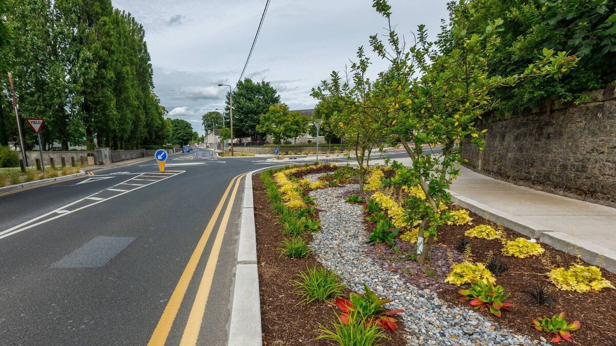 Mayor praises work done for Entente Florale contest