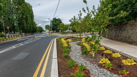 Mayor praises work done for Entente Florale contest