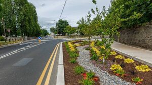 Mayor praises work done for Entente Florale contest