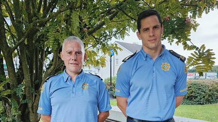 Carlow garda helps pull woman from the River Barrow