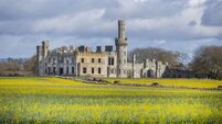 Meeting tomorrow on proposed solar farm near Duckett’s Grove 