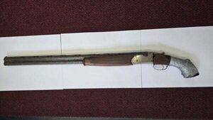 Gardaí seize firearm and ammunition in Co Westmeath