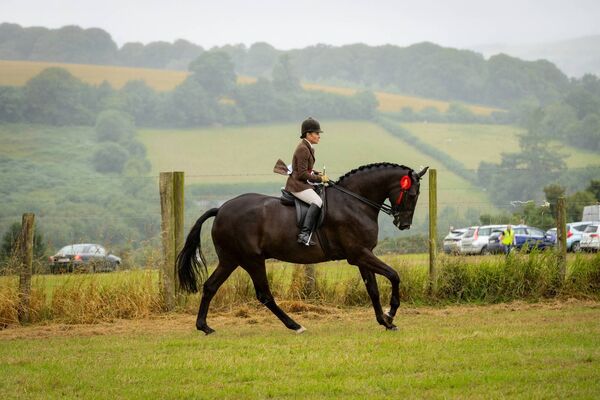 Nicola Perrin winner of the Champion Ridden Hunter on Rathmorrissey Lord of The Dance at Tinahely Show Nicola Perrin winner of the Champion Ridden Hunter on Rathmorrissey Lord of The Dance at Tinahely Show
