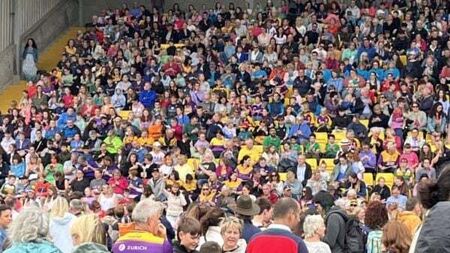 Record breakers: Wexford Fleadh Cheoil breaks Guinness World Record with 2,516 tin whistle players