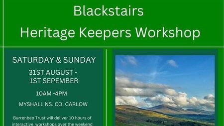 Free programme encourages local groups to look to the future of the Blackstairs area