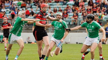 St Mullins will have to be at their best to wrestle back SHC title from Mount Leinster Rangers