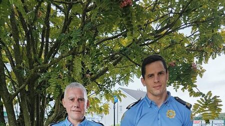 Two quick-thinking members of the force save a woman from drowning in the River Barrow