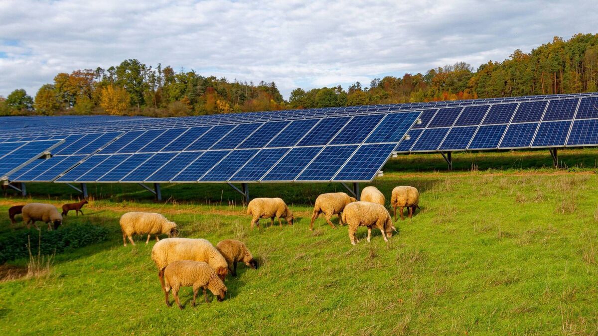 Locals voice concerns over plan for giant solar farm in Killerig