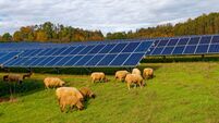 Locals voice concerns over plan for giant solar farm in Killerig 