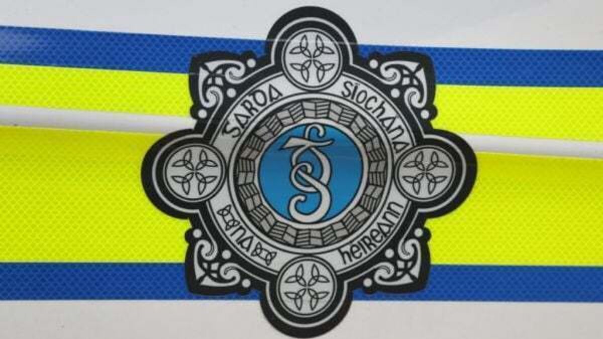 Man questioned over murder of pensioner in Tipperary released without charge