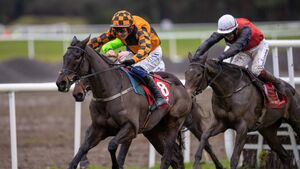 Mullins bringing strong team to Tramore