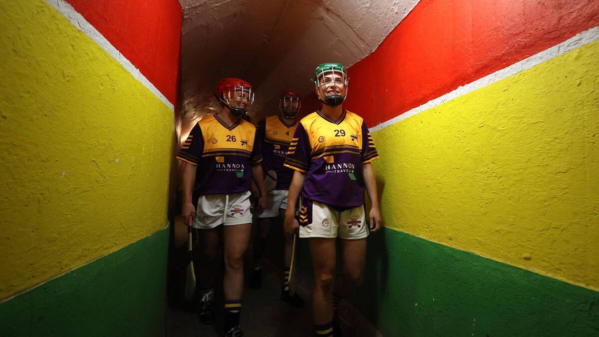 Hurling For Cancer game proves a success again