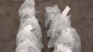 Canadian woman (21) charged with importing cannabis worth €820,000 into Belfast Canadian woman (21) charged with importing cannabis worth €820,000 into Belfast