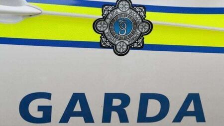 Man arrested by gardaí investigating organised retail theft