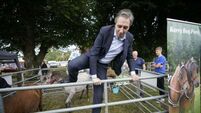 ‘Offensive’ to call active farmers land hoarders, Taoiseach says