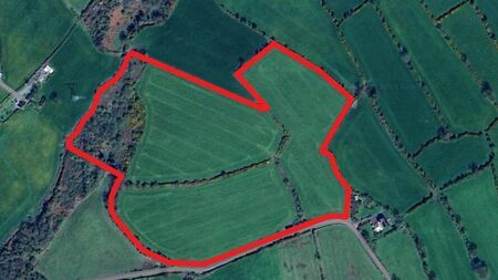BALLYCRINNIGAN, ST MULLINS, CO CARLOW FARM LAND FOR SALE